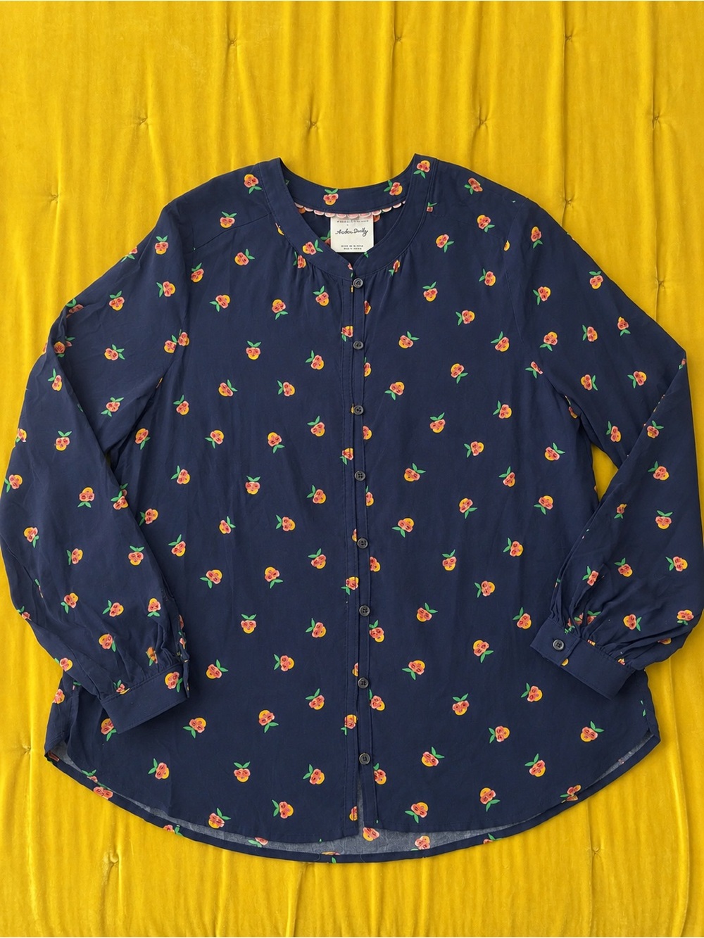 Anthropologie Kendra Dandy Dreamer Button Down